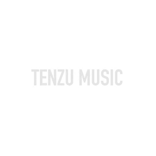 Gibson SG Standard  